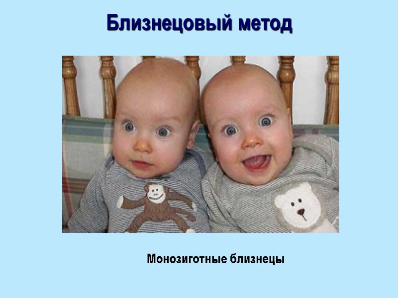 Близнецовый метод Монозиготные близнецы